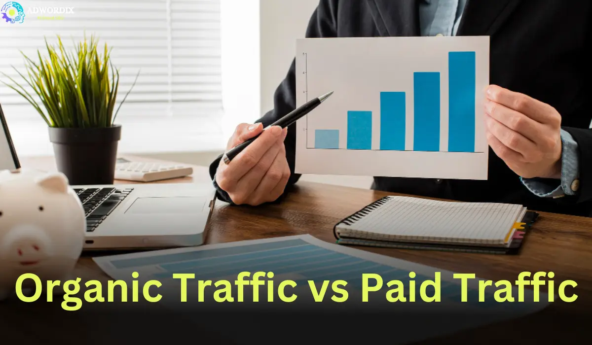 Organic Traffic vs Paid Traffic