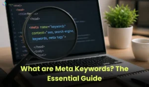 What are Meta Keywords