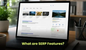 What are SERP Features