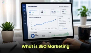 SEO Marketing